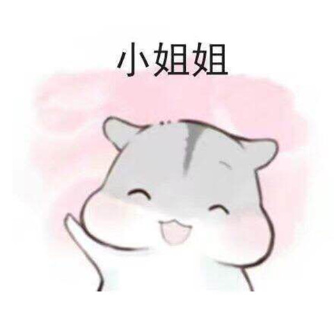 套路满满的表白表情包2